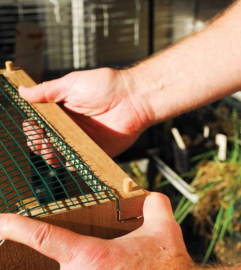 Diy Garden Basket, Harvest Basket Ideas, Diy Wood Basket, Diy Harvest Basket, Garden Basket Ideas, Gathering Basket Diy, Diy Harvesting Basket, Garden Trug Diy, Egg Basket Diy