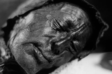 Europe’s well-preserved bog bodies surrender their secrets | Science | AAAS Tollund Man, Bog Body, Ritual Sacrifice, Peat Bog, Post Mortem, Iron Age, Interesting History, Northern Europe, Ancient Cultures