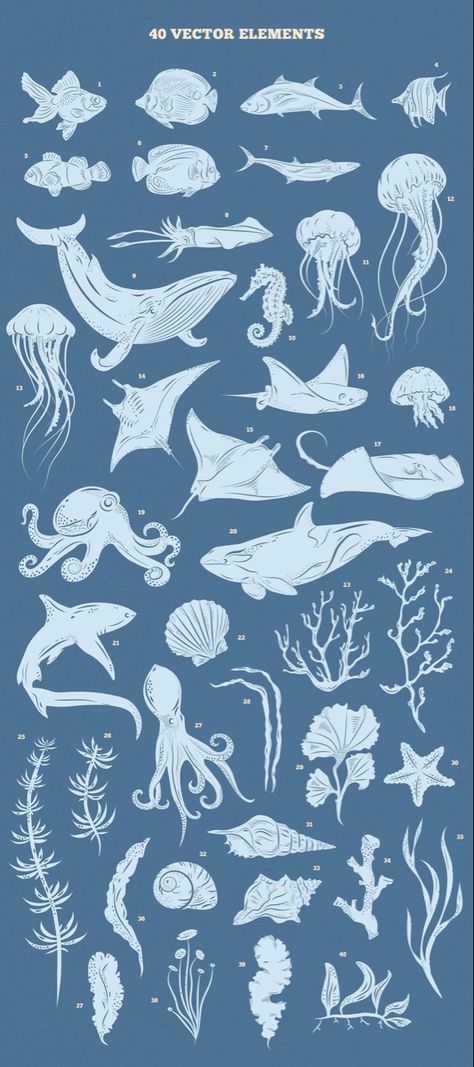 Underwater Drawing, Underwater Kingdom, Jellyfish Illustration, Jellyfish Photography, Ocean Illustration, Jellyfish Painting, Jellyfish Drawing, Underwater Art, Ocean Creatures