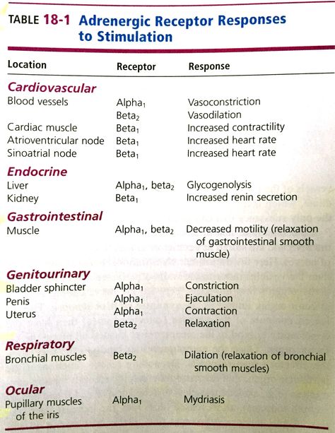 Adrenergic Receptor Responses to Stimulation Vasoactive Medications, Adrenergic Pharmacology, Pharmacology Studying, Nerdy Nurse, Adrenergic Receptors, Paramedic School, Nursing Information, Nursing School Essential, Penyakit Jantung