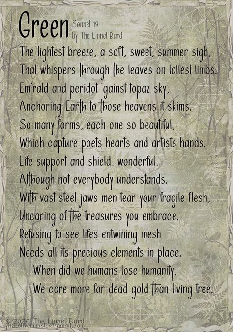 My favourite colour, the colour of living plants. This poem was written as part of my project to create a "virtual" forest of trees drawn by those who love them. All of which I do to try to raise awareness of the need to do more. Save the trees, save the planet, save the people who live on it. And yet we still cut down rainforests left right and centre! Forest Poem, Holiday Homework, The Rainforest, Favourite Colour, Tree Drawing, Linnet, Save The Planet, Do More, Homework