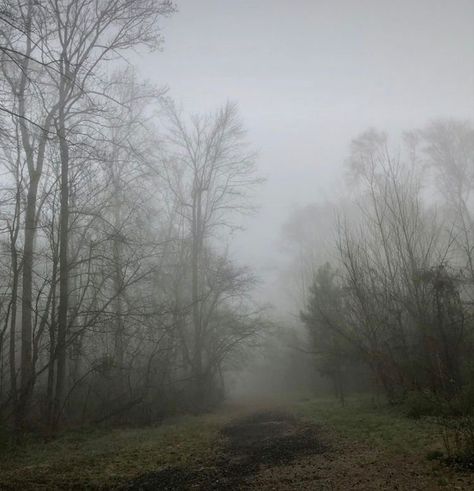 Foggy Morning Aesthetic, Walk Everyday, Fake Reality, Dark Naturalism, Reality Shifting, Foggy Weather, Dark Fairycore, Other World, Dark Green Aesthetic