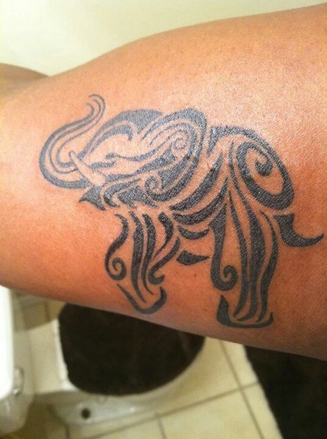 Not an elephant person but super cool tattoo Elephant Foot Tattoo, Polynesian Elephant Tattoo, Maori Elephant Tattoo, Strong Elephant Tattoo, Half Elephant Face Tattoo, Paisley Elephant Tattoo, Celtic Elephant Tattoo, Hindi Elephant Tattoos, Elephant Outline