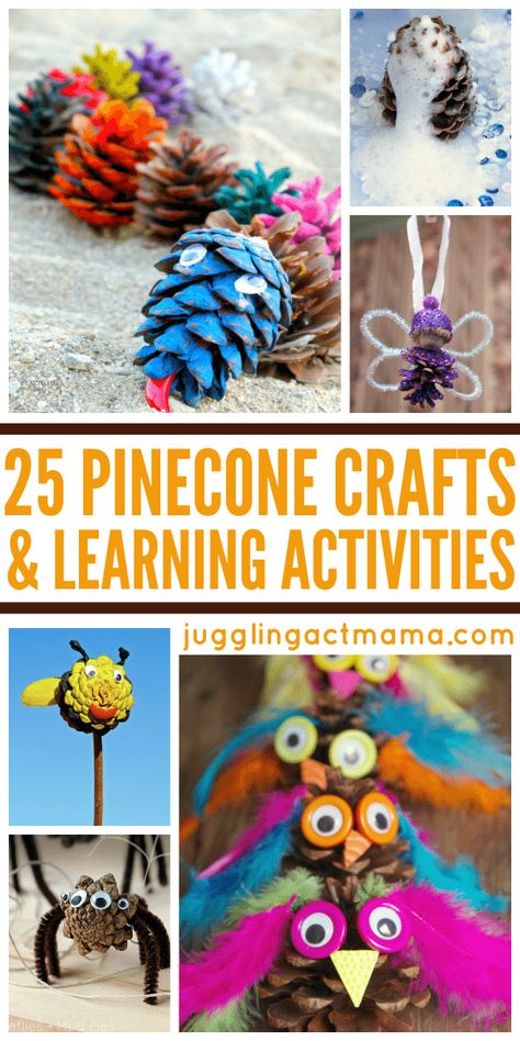 Pine Cone Activities, Nature Crafts Kids, Pinecone Crafts Kids, Art Recipes, Pinecone Crafts, Paper Flower Garlands, Diy Preschool, Fall Preschool Activities, Animal Crafts For Kids