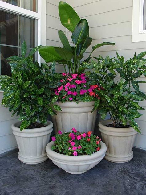 Porch Plants, Raised Patio, Yard Fence, Container Gardening Flowers, Fence Landscaping, Patio Plants, Garden Containers, Patio Landscaping, Backyard Fences