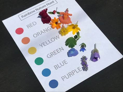 Can you find natural items outside that make up the colors of the rainbow? Nature Rainbow, Nature Walk Collect A Rainbow, Rainbow Nature Scavenger Hunt, Color Nature Walk, Collect A Rainbow Nature, Color Nature Scavenger Hunt, Rainbow Nature Hunt, Nature Rainbow Craft, Rainbow In Nature