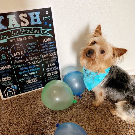 Love love love this! Seller was AMAZING, awesome communication and I LOVED the poster. ❤️❤️❤️ Dog Birthday Sign, Dog Birthday Chalkboard Signs, Dog Party Decorations, Dog First Birthday, School Date, First Birthday Chalkboard, School Chalkboard, Birthday Items, Birthday Chalkboard