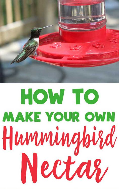 Save money by making your own dye-free homemade hummingbird nectar at home! #garden #hummingbird Homemade Hummingbird Nectar, Hummingbird Nectar Recipe, Vegetarian Grilling Recipes, At Home Garden, Hummingbird Food, Easy Home Recipes, Hummingbird Nectar, Homemade Bird Houses, Backyard Gardening