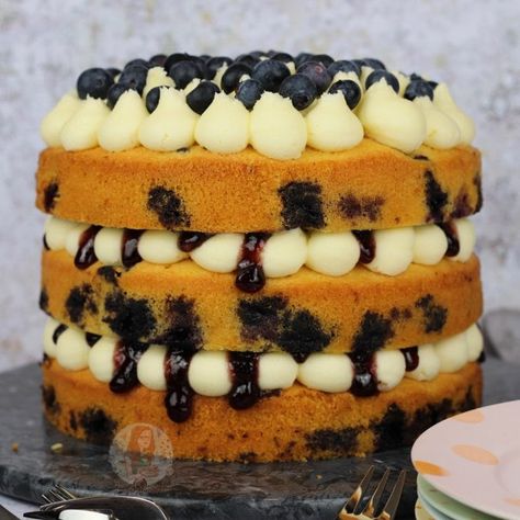 Lemon and Blueberry Cake! Valentine Baking Recipes, Lemon And Blueberry Cake, Lemon Blueberry Cake, Lemon And Blueberry, Janes Patisserie, Chocolate And Vanilla Cake, Blueberry Cake Recipes, Fruity Cake, Lemon Buttercream