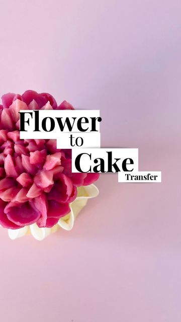 Katelyn | Cake Art, Design & Decoration 🇦🇺 on Instagram: "HOW TO place a piped buttercream flower onto your cake! I had a lot of questions on my last reel asking how I get the piped flower onto the cake. The answer? Easy! I simply freeze the flowers before placing them. This firms the buttercream so the flowers can be handled. There are other ways to transfer flowers to a cake - would you like to learn about them? Let me know in the comments 🙋🏻‍♀️ SAVE this reel for future reference and che Buttercream Transfer, Frosting Flowers, Piping Flowers, Buttercream Flower, Cookie Cakes, Buttercream Recipe, Buttercream Flowers, Cake Videos, Wedding Cake Ideas