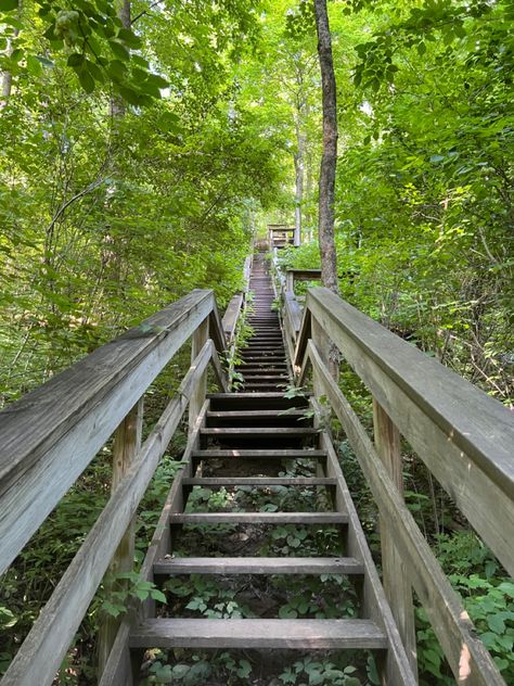 Hiking trail at McCormick’s Creek State Park #hiking #nature #stairs #aesthetic Hiking Trails, State Parks, Hiking, Stairs