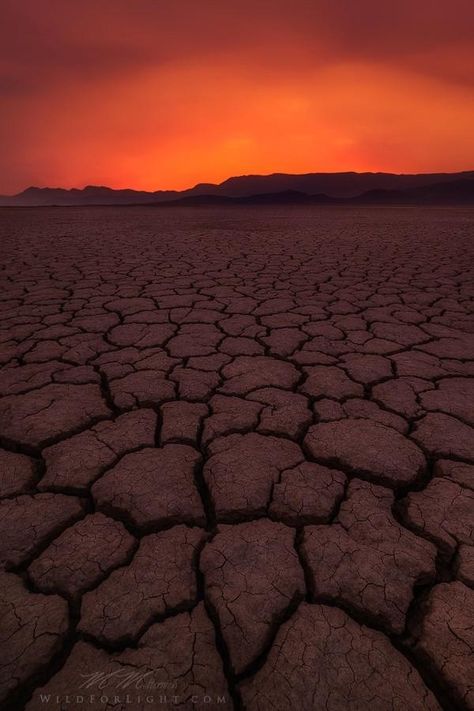 Barren by Mark Metternich Storm Landscape, Barren Landscape, Dead Forest, Photoshop Video, Dust Storm, Picture Places, Best Architects, Orange Light, Photoshop Cc