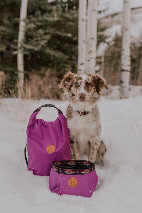 Dog Friendly Camping, Camping With A Dog, Backpacking Dog, Dog Camping Gear, Backpacking With A Dog, Dog Hiking Gear, Camping Dog, Dog Travel Crate, Trail Dog