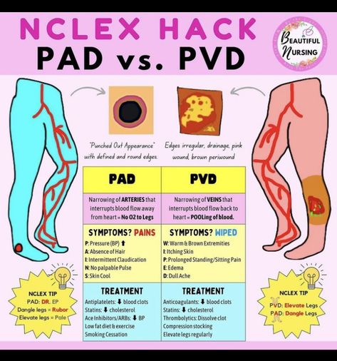 Arterial Vs Venous Insufficiency, Gi Meds Nursing, Pad Vs Pvd Nursing, Urinary Elimination Nursing School, Nursing Cardiovascular, Pad Nursing, Nursing School Prep, Nursing School Studying Cheat Sheets, Nurse Skills