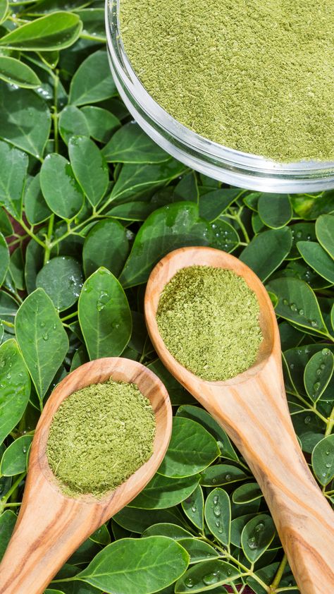 Health Benefits Of Moringa, Trail Snacks, Leaf Pictures, Strawberry Health Benefits, Benefits Of Moringa, Moringa Benefits, Moringa Leaf Powder, Nutrition And Health, Health Images