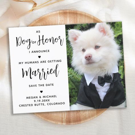 $1.95 | My Humans Are Getting Married- Modern Dog Wedding | Popular Save the Date Cards | dog save the date, dog wedding, dog of honor, best dog, doggy wedding announcement, humans are getting married, simple black white, modern elegant photo, unique funny cute, pet weddings Save The Date Dog, My Humans Are Getting Married, Dog Of Honor, Dog Template, Ship Wedding, Elegant Photo, Wedding Pets, Wedding Announcement, Photo Wedding Invitations