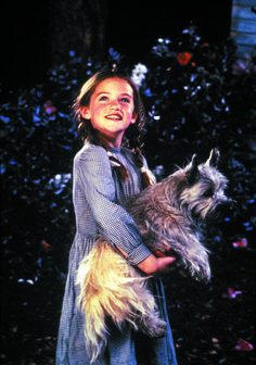 Dorothy and Toto in "The Dreamer of Oz" The Wizard Of Oz Art, Toto Wizard Of Oz, Dorothy Hair, Wizard Of Oz Aesthetic, Dorothy Must Die, Oz Aesthetic, Wizard Of Oz Art, Dorothy And Toto, Return To Oz