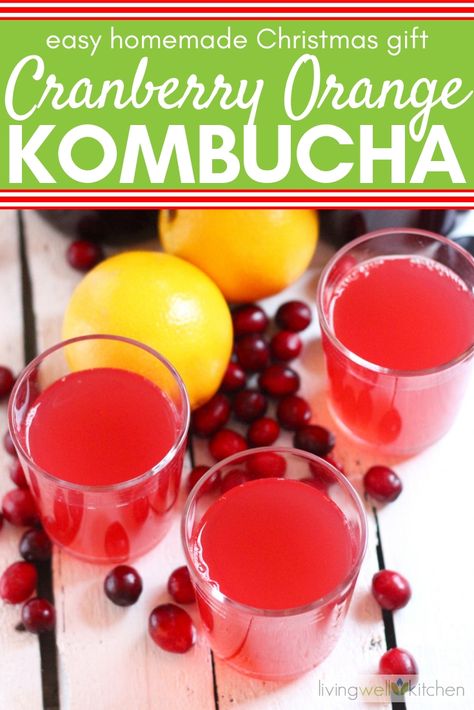 Kombucha Gift Ideas, Orange Kombucha, Cranberry Kombucha, Fermented Beverages, Making Kombucha, Kombucha Recipes, Cultured Vegetables, Diy Kombucha, Juice Making