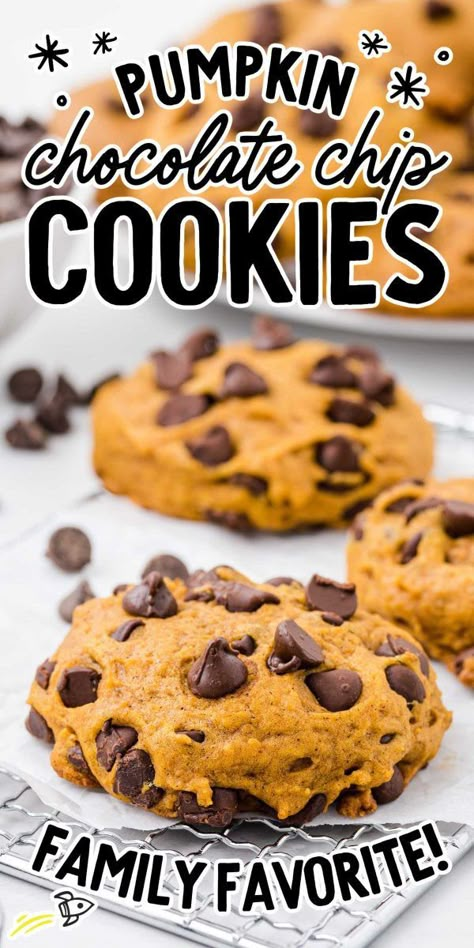 Simple Pumpkin Chocolate Chip Cookies, Moist Pumpkin Chocolate Chip Cookies, The Best Pumpkin Chocolate Chip Cookies, Fresh Pumpkin Cookies, Best Pumpkin Cookies Ever, Pumpkin Cookies Chocolate Chip, Pumpkin Choc Chip Cookies, Easy Pumpkin Chocolate Chip Cookies, Pumpkin Chip Cookies