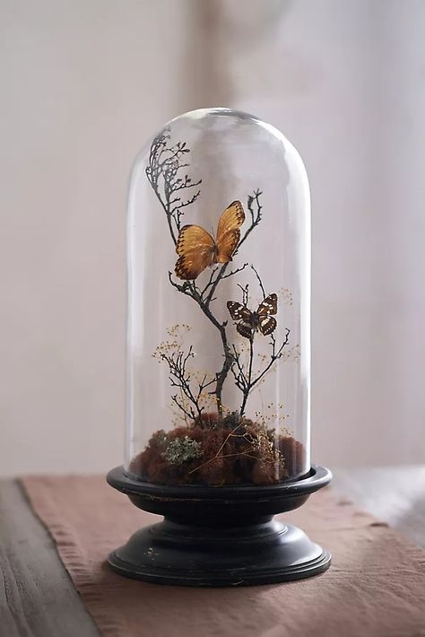 The Halloween Shop | Terrain Cloche Ideas, Oddities Decor, Cloche Decor, Glass Cloche, Wood Pedestal, Dark Cottagecore, The Bell Jar, Hand Poured Candle, Creative Living