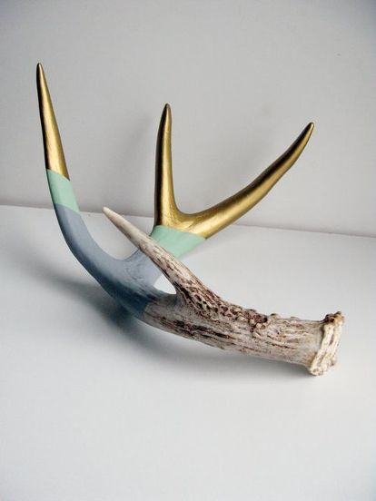 Do you have antlers laying around and don’t know what to do with them? I’ve been in Pinterest mode lately, searching for ways to incorporate my antlers into my decor. I’ve come across some pretty amazing ideas and I knew I had to share. Some of you are super crafty and I know you can easily accomplish any of these! Okay, first off. I just wanted to insert this little definition from Wikipedia. Over the past couple years I’ve received some very hateful emails & comments about us even… Diy Antlers, Antler Ideas, Painted Antlers, Deer Antler Decor, Boho Store, Antlers Decor, Antler Crafts, Deer Horns, Antler Art