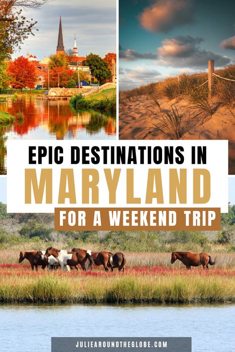 Looking for places to go in the USA for a weekend getaway? This guide highlights the most affordable Maryland vacation ideas perfect for couples or families. Explore the best things to do in Maryland, from charming towns to must-see attractions to add to your Maryland bucket list. Whether planning a scenic Maryland road trip or relaxing Maryland summer adventure, these budget-friendly destinations will inspire your next trip! Places To Visit In Maryland, Things To Do In Maryland, Maryland Vacation, Maryland Summer, Cheap Weekend Getaways, Best Weekend Trips, Long Weekend Trips, Deep Creek Lake, Best Places To Vacation