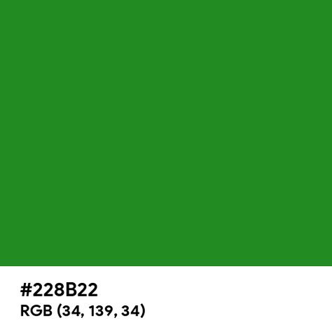 Forest Green color hex code is #228B22 Green Color Hex Code, Paint For Kitchen Walls, Split Complementary Colors, Rgb Color Wheel, Rainbow Palette, Web Colors, Kitchen Wall Colors, Forest Green Color, Hex Codes