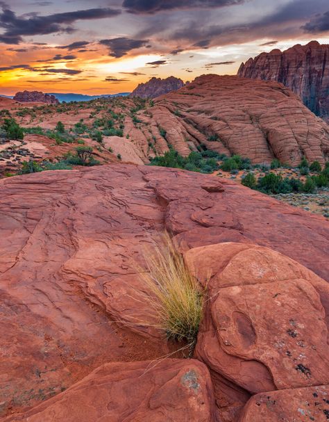 Snow Canyon State Park, Distant Memory, Beautiful Desert, Red Mountain, Places To Rent, Bike Path, Bike Rental, Kids Seating, Mountain Resort