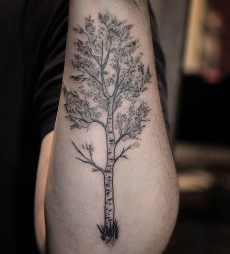 Quaking Aspen. Now imagine this with color on the lowest branches (green) and moving up to yellow until the branches are bare at the very top Aspen Trees Tattoo, Birch Tree Tattoos, Tree Sleeve, Tree Sleeve Tattoo, Tree Tattoo Arm, Cousin Tattoos, Left Arm Tattoos, B Tattoo, Red Tattoos