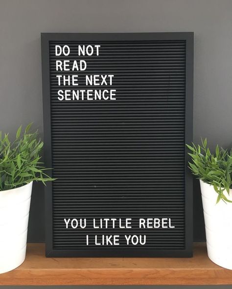 Letterbord Quotes, Funny Letter Board Quotes, Message Board Ideas, Funny Letter Board, Letterboard Signs, Light Box Quotes, Letterboard Ideas, Board Sayings, Letterboard Quotes