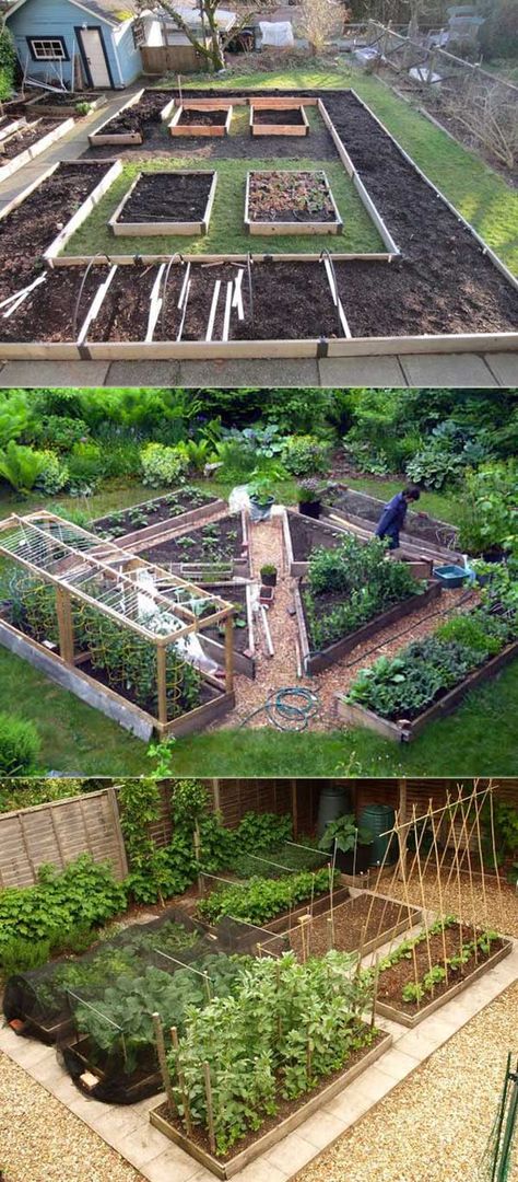 46+ Simple Raised Vegetable Garden Bed Ideas 2020 - FarmFoodFamily Vegetable Garden Beds, Raised Vegetable Gardens, Vegetable Garden Raised Beds, Diy Raised Garden, Raised Garden Beds Diy, Organic Vegetable Garden, Have Inspiration, Creative Gardening, Vegetable Garden Design