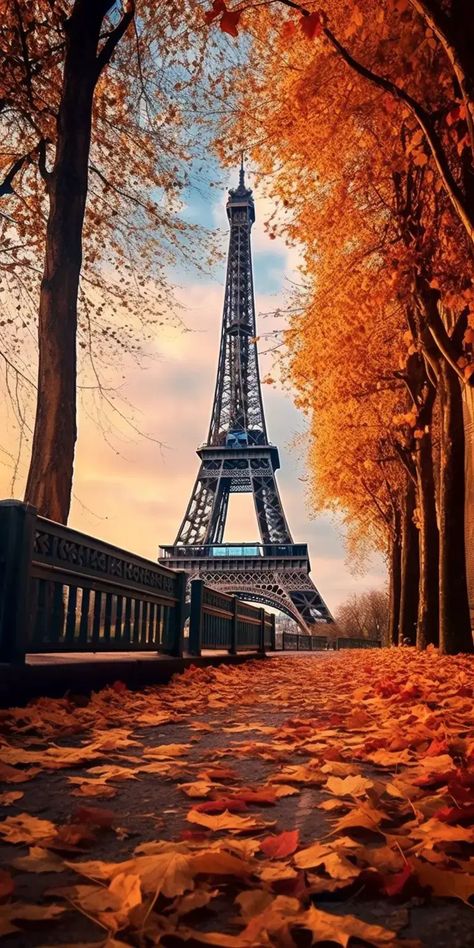 Italy Autumn Aesthetic, Desktop Wallpaper Fall, Cute Fall Wallpaper, Fall Beauty, Iphone Wallpaper Fall, Fall Background, Italy Aesthetic, Autumn Scenes, Halloween Aesthetic