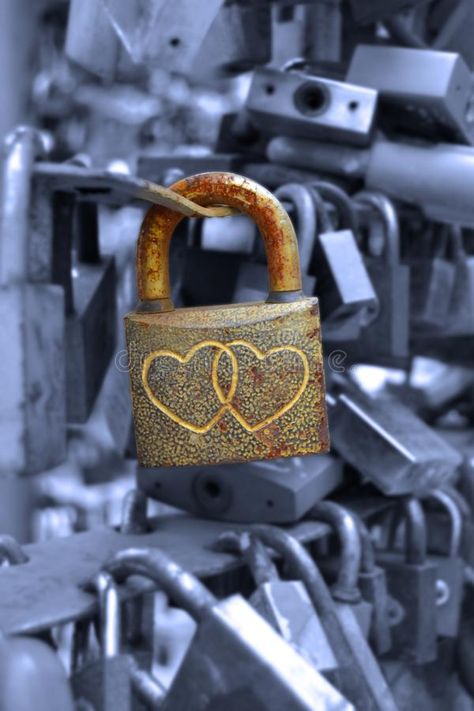 Love Lock Bridge Paris, Love Lock Bridge, Royal Enfield Wallpapers, Lock Bridge, Collage Pics, Profile Cover, Couple Marriage, Joker Pics, Traditional Marriage