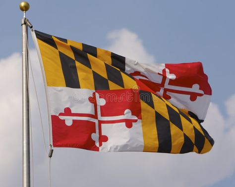 Maryland Flag, Desi Love, University Of Maryland, Star Spangled, I Want To Travel, Flags Of The World, Pride Flags, Canada Flag, Nice Day