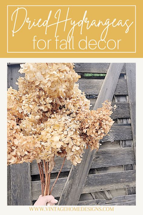 Foraged Fall Arrangement, Dried Hydrangea Christmas Decor, Dried Hydrangea Arrangements Home Decor, Wheat Decorations Decorating Ideas, Dried Limelight Hydrangeas, Decorating With Dried Hydrangeas Fall, Fall Hydrangea Centerpiece, Dry Hydrangeas Decor, Decorating With Hydrangeas For Fall