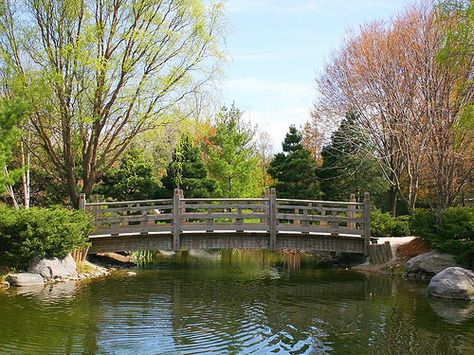 Kariya Park. Want to try to get there once a week. Yard Bridge, Garden Bridge Design, Backyard Bridges, Small Bridge, River Rock Landscaping, Asian Landscape, Hardscape Design, Rock Landscaping, Sensory Garden