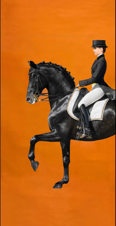 Hermes Horse Art, Hermes Wall Art, Hermes Wallpaper Iphone, Horse Aesthetic Wallpaper, Horse Wallpaper Aesthetic, Hermes Painting, Horse Riding Painting, Horse Hermes, Hermes Decor