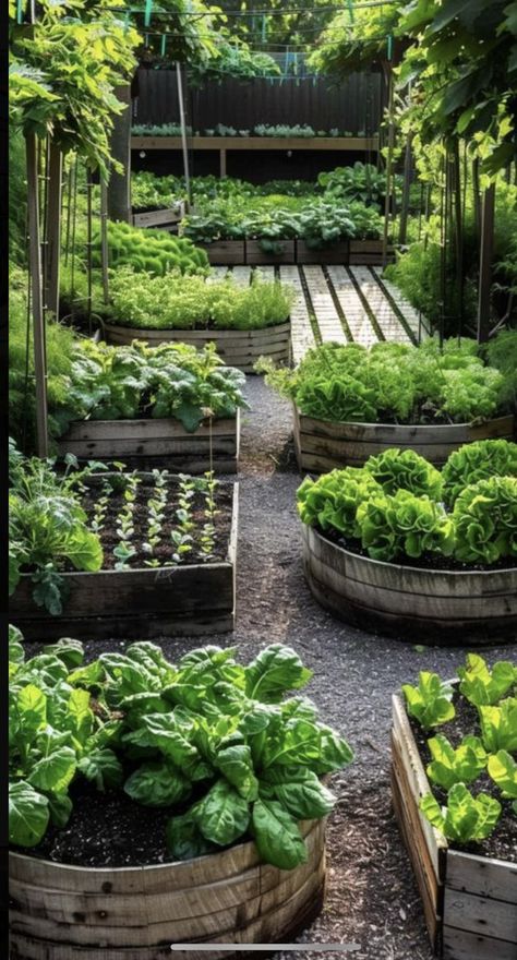 Fotografi Urban, Garden Hacks, Potager Garden, Veg Garden, Home Vegetable Garden, Garden Yard Ideas, Vegetable Garden Design, Garden Layout, Veggie Garden