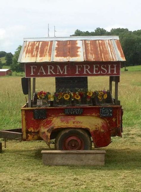 Pumpkin Stand Roadside, Farmers Market Stand, Pumpkin Stands, Vegetable Stand, Pumpkin Garden, Market Stands, Apple Farm, Tv Room Design, Farm Market