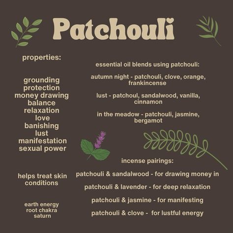 🌿 Patchouli 🌿 Incense available in the shop • more info post available on Patreon #patreon #patchouli #greenwitch #spiritualshop #divinefeminine Patchouli Incense Witchcraft, Patchouli Witchcraft, Patchouli Meaning, Patchouli Oil Benefits, Patchouli Spiritual Benefits, Patchouli Incense Meaning, Patchouli Incense Benefits, Patchouli Incense, Patchouli Magical Properties