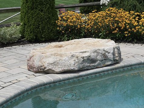 Rock Diving Board Pools, Stonescapes Aqua Blue Mini Pebble Pool, Pool Diving Rock, Rock Pools Aesthetic, Oval Pool, River Rock Garden, Stone Garden Paths, Life Rock Bramch Rock Aquascape Reef, Tattoo Plant