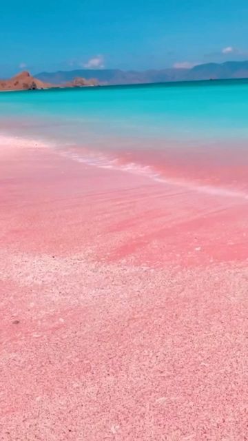 Quick Sand, Sand Wallpaper, Red Sand Beach, Komodo National Park, Komodo Island, Pink Sand Beach, Red Pigment, Beach Video, Pink Stuff