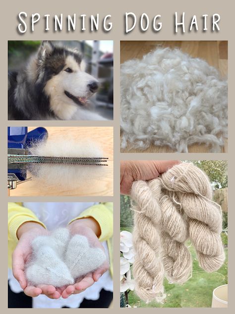 Preparing and Spinning Dog Hair - Spinning Chiengora by Craft me Happy.  How to sort, scour, remove guard hairs, comb, draft and spin yarn made out of malamute hair. Dog Hair Crafts, How To Spin Yarn, Yarn Spinning, Diy Spinning Wheel, Spinning Yarn Fiber, Art Yarn Spinning, Hair Yarn, Diy Wool, Spinning Wool