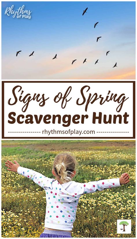 Signs of spring scavenger hunt for kids - Teach preschoolers, kindergarteners, and school-aged children about the spring with this fun and educational science learning activity. Get outside with the kids to study nature and the changing seasons today! Spring Scavenger Hunt Preschool, Outdoor Spring Activities For Preschool, Spring Scavenger Hunt, Signs Of Spring Preschool Activities, Toddler Spring Activities, Spring Kids Activities, Spring Kindergarten Activities, Nature Games, Spring Preschool Activities