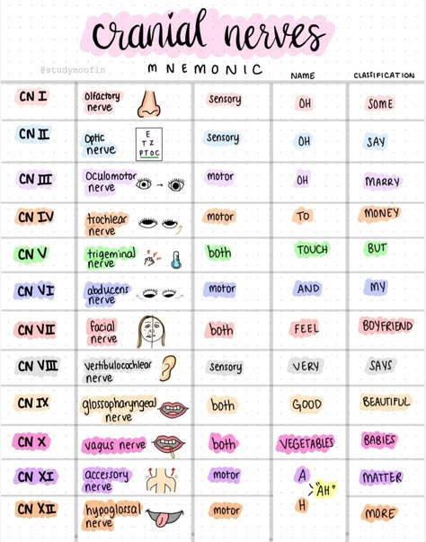 Cranial Nerves Mnemonic, Emt Study, Medical Assistant Student, Nursing School Inspiration, Nursing School Essential, Dental Hygiene School, Nurse Study, Nursing School Motivation, Medical School Life