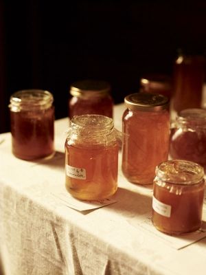 a marmlade jam aesthetic Jamming Aesthetic, Small Jam Jars, Jam Maker, Meg March, Half Drow, Cumbria England, Jar Of Jam, Jasper Conran, Green Pasture