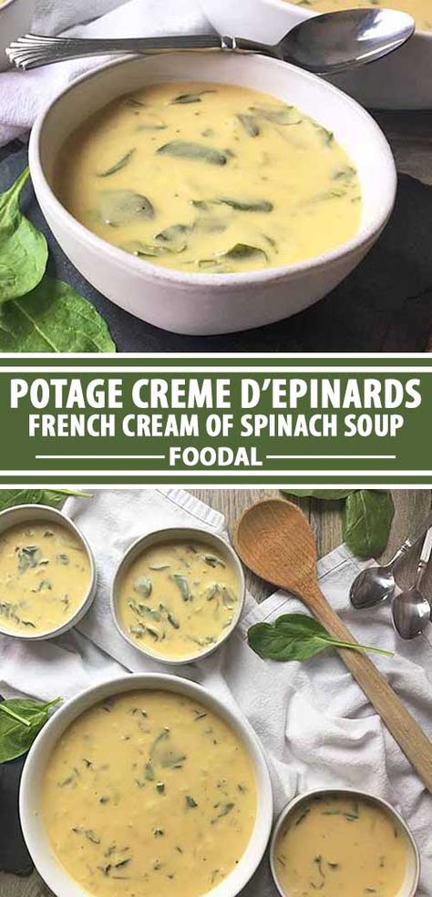 Forgot about that bag of spinach in your fridge? It's not too late to make a velvety cream of spinach soup. It's simply flavored with onions and vegetable stock, and thickened with egg yolks, cream, and flour. With a silky finish of just a little butter, you'll love eating your greens. Get the recipe on Foodal. Cream Of Spinach, Cream Of Spinach Soup, Soup Spinach, Spinach Mac And Cheese, Spinach Soup Recipe, Comfort Meals, Spinach Benefits, French Soup, Delicious Soups