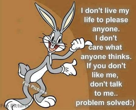 Bugs Bunny Quotes, Looney Tunes Funny, Bunny Quotes, Aries Quotes, Funny Day Quotes, The Company You Keep, Funny T Shirt Sayings, Alcohol Humor, I Dont Like You