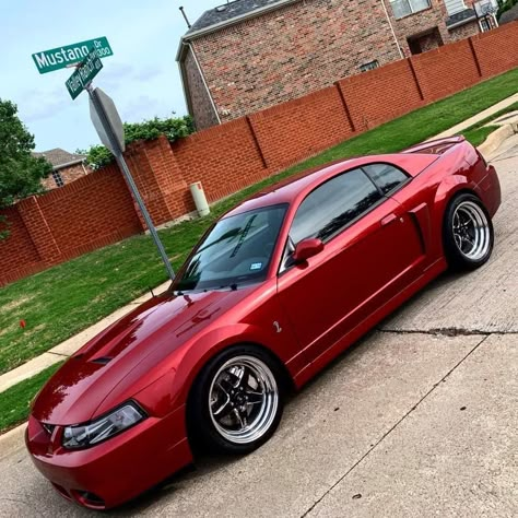 Sn95 Mustang, New Edge Mustang, 2002 Ford Mustang, 2000 Ford Mustang, 2003 Ford Mustang, Ford Mustang Bullitt, Mustang Wheels, Ford Svt, Muscle Cars Mustang