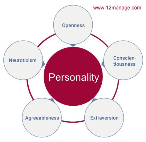 The Big Five Personality Traits (OCEAN) Model Trait Theory, Big Five Personality Traits, Story Tips, The Big Five, Human Personality, Myers Briggs Type, Big 5, Personality Test, Myers Briggs